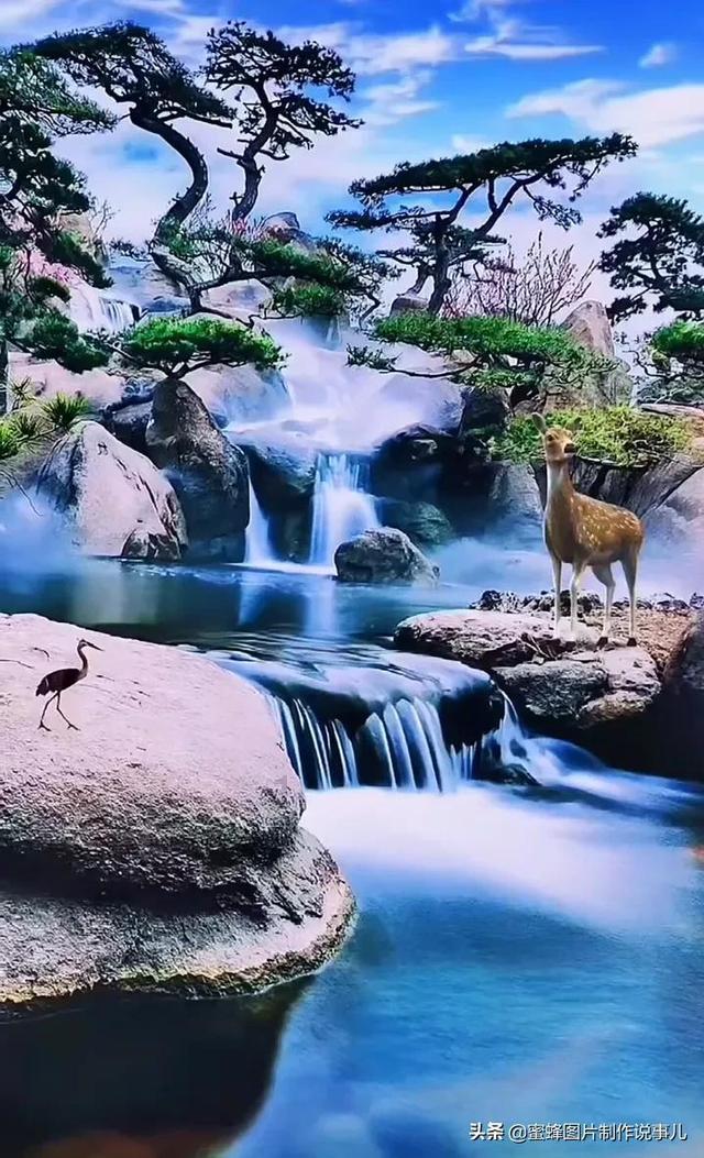 动物拼一拼